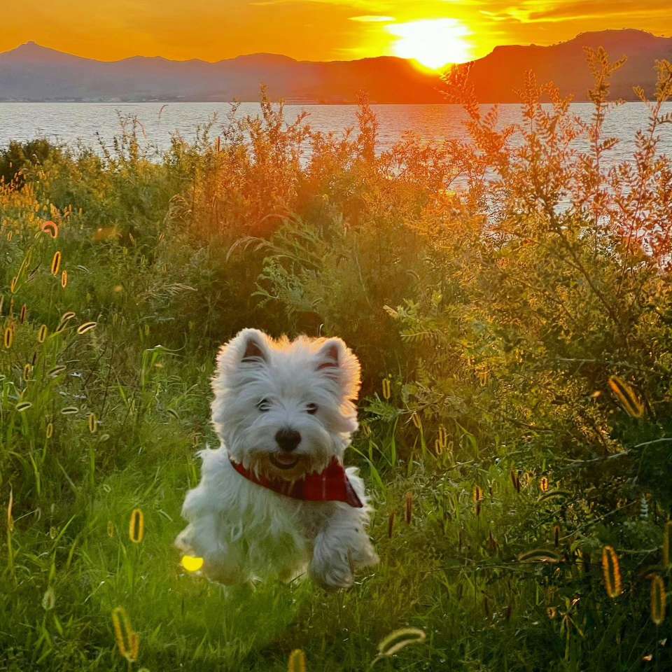 《自我成长的力量》