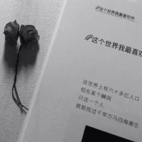 你喜欢的温柔仙句♡