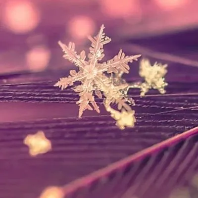 必备的治愈文案