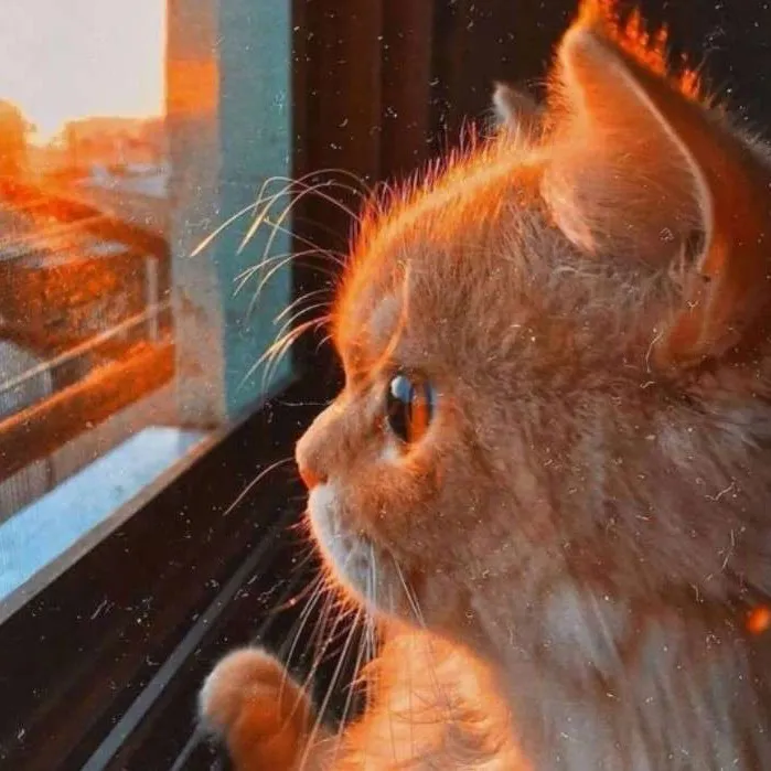 精选