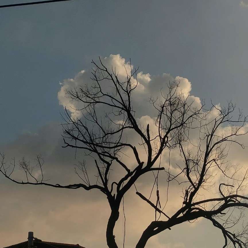 什么啊原来只是同人