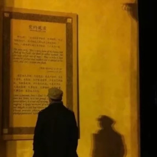 炮灰又把主角攻了