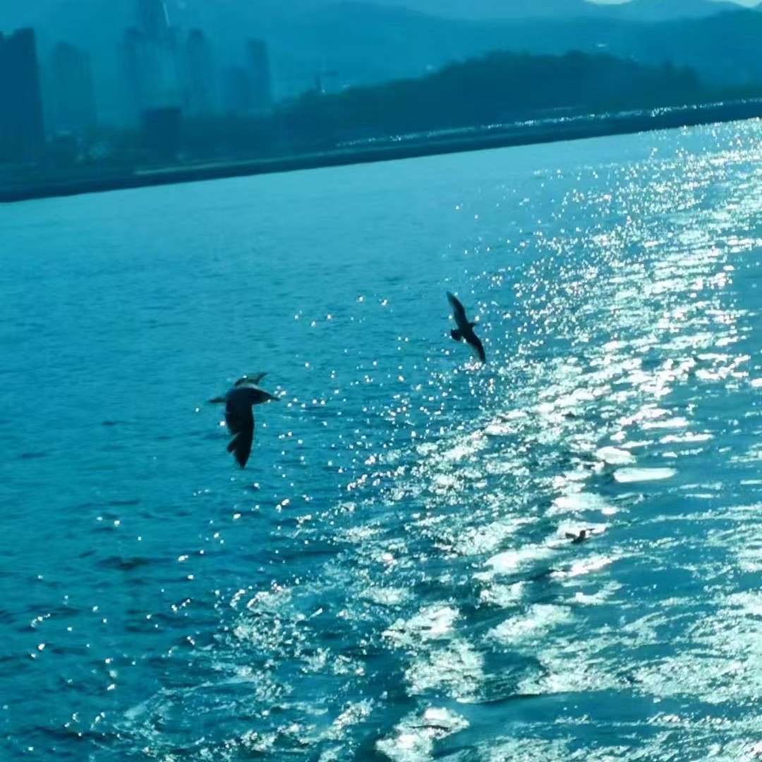 卑微备胎不干了