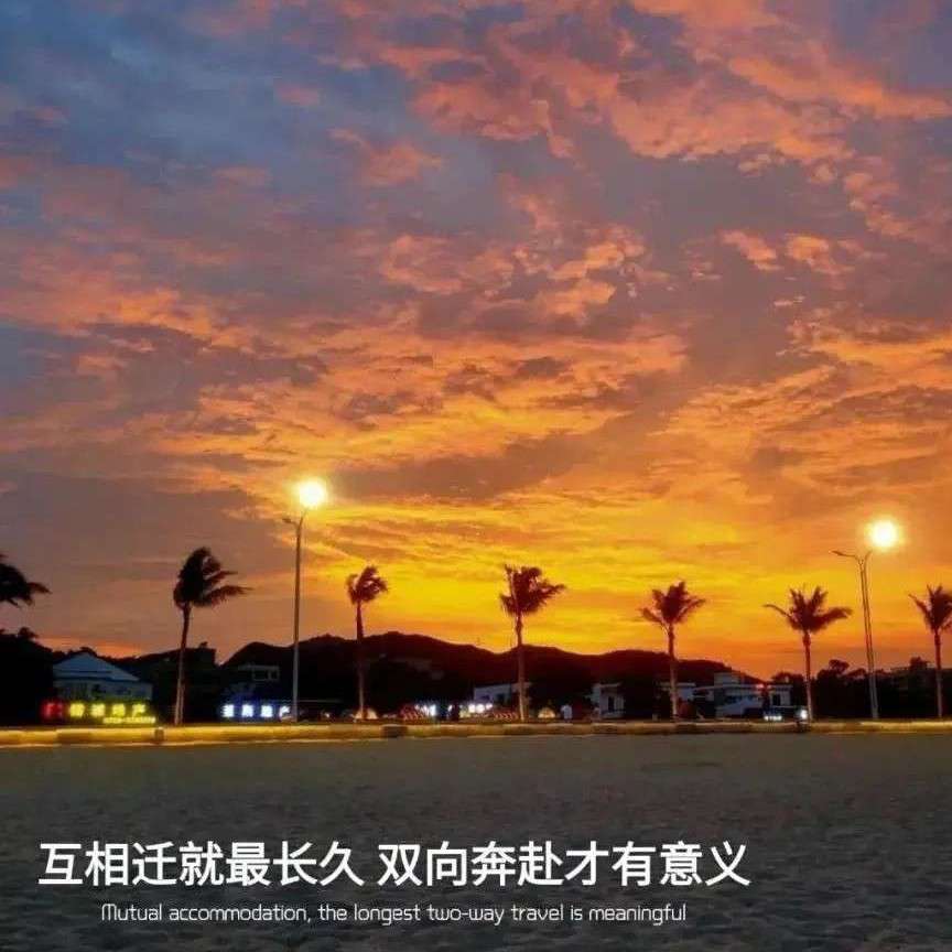 适合写作文的句子💤