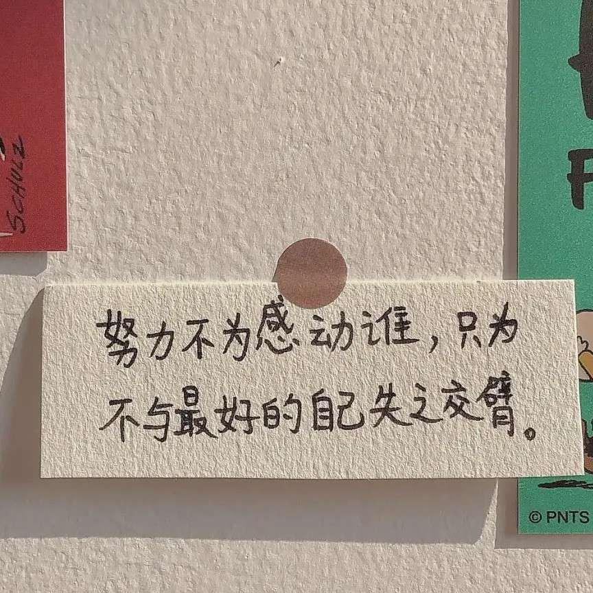 写进作文的句子