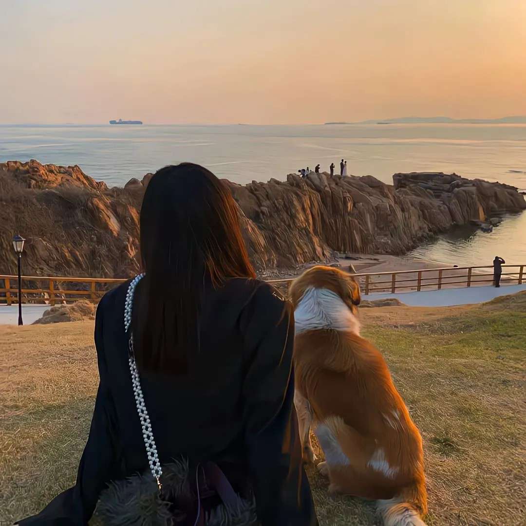 如何文艺的高级怼人