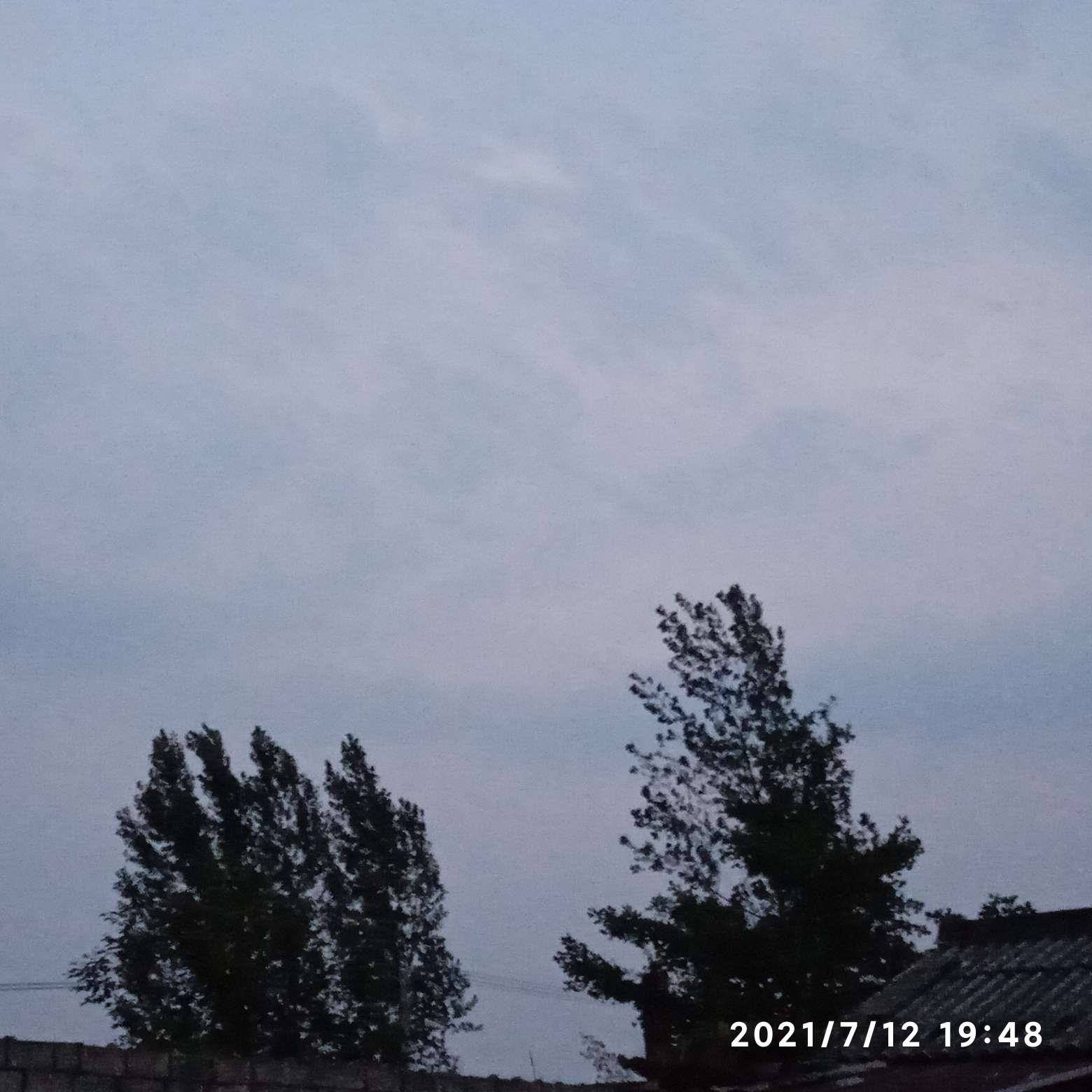 白栀青梅的专辑