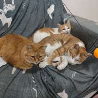 什么是死亡什么是活着