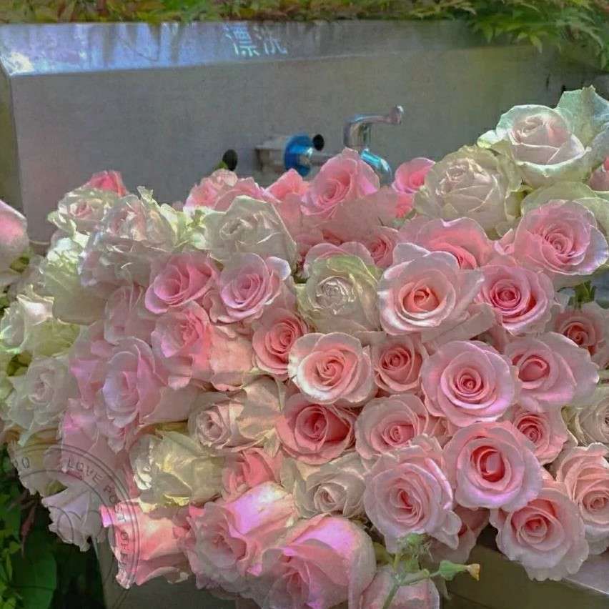 《txl文》💫🌈