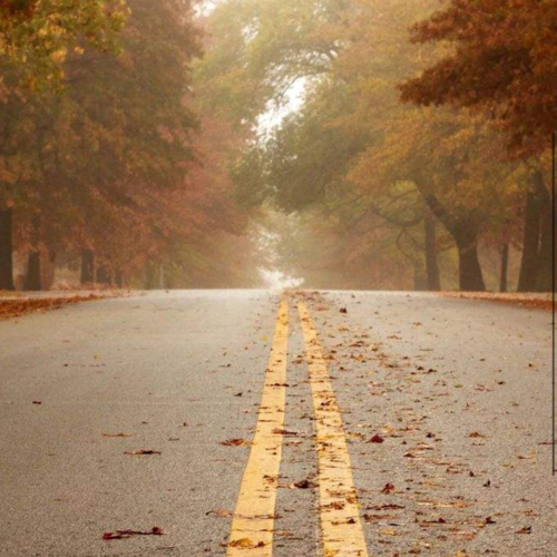 那些忧郁不失唯美的句子。