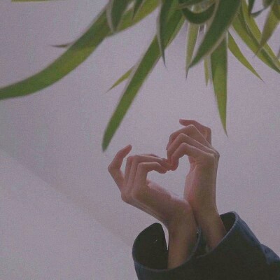 今年兔叽有四岁吖的专辑