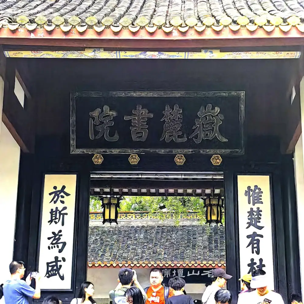 学习