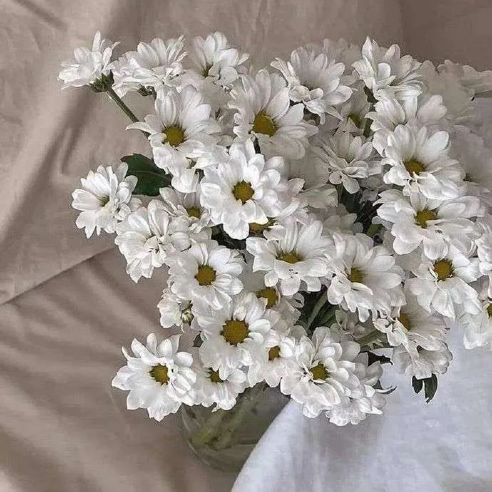 爱