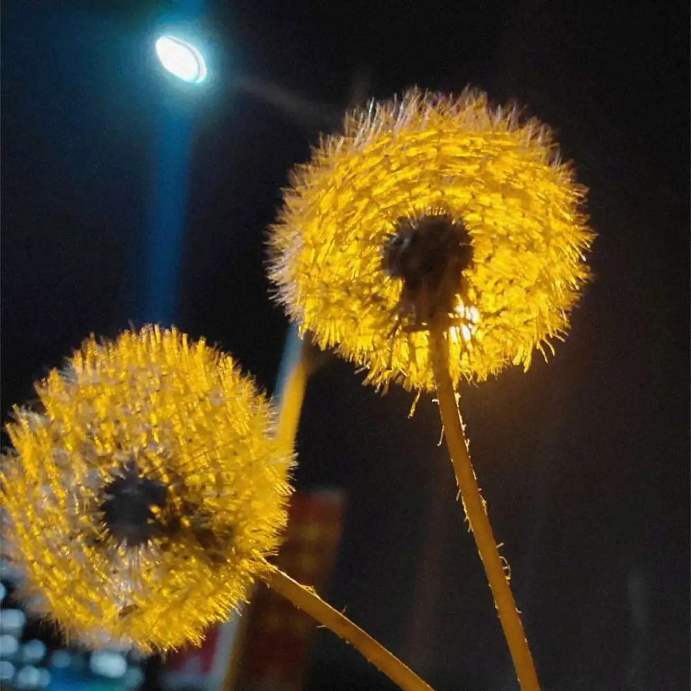 飞沙