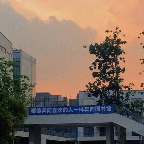 是苏不是酥