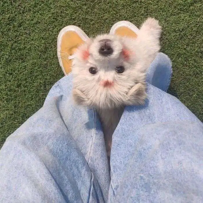 青春励志句子