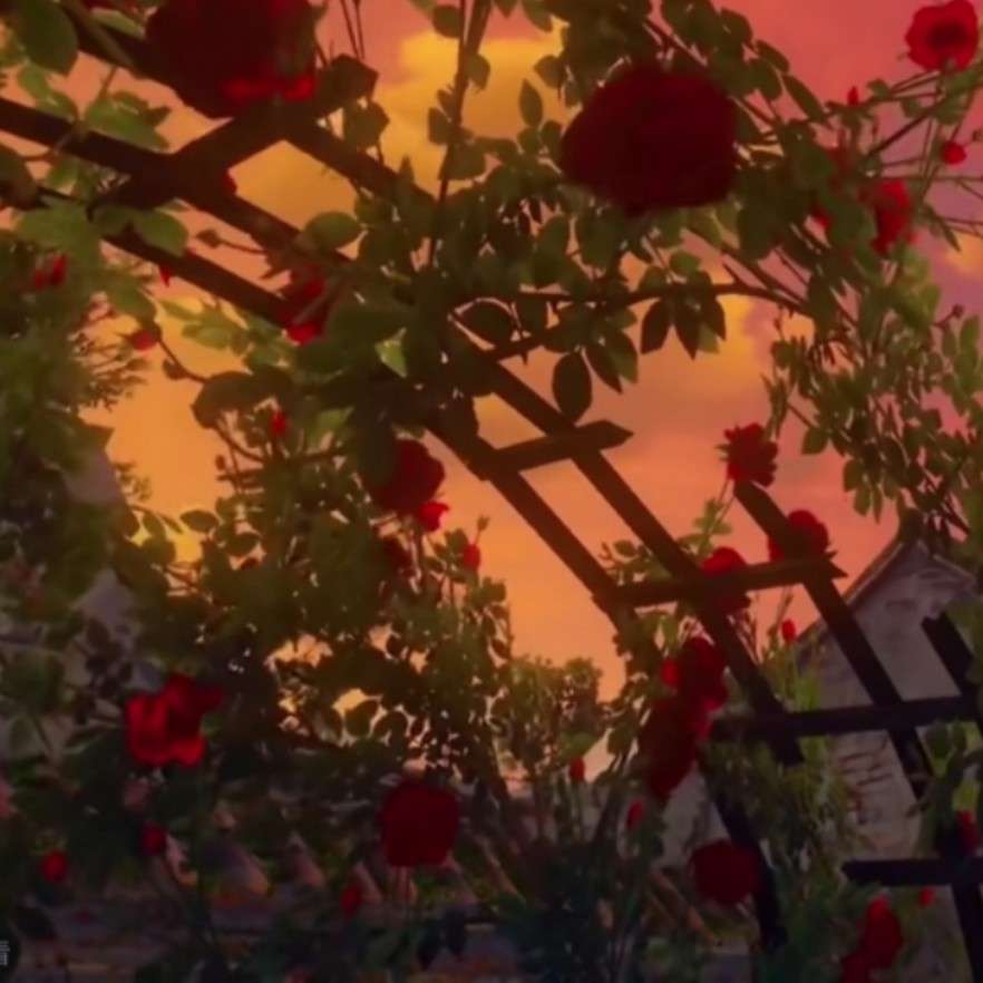 向年一冲刺的专辑