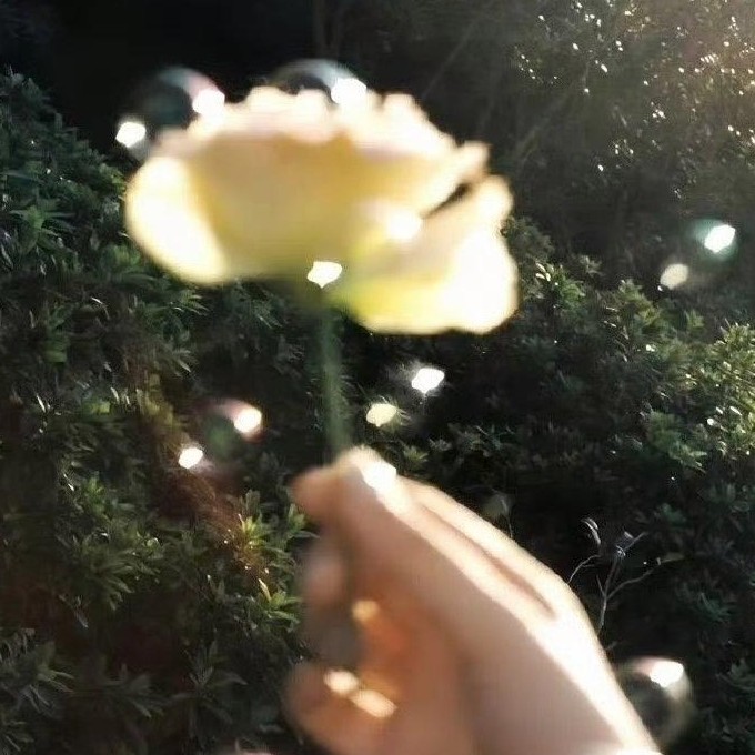 高中继续努力呀