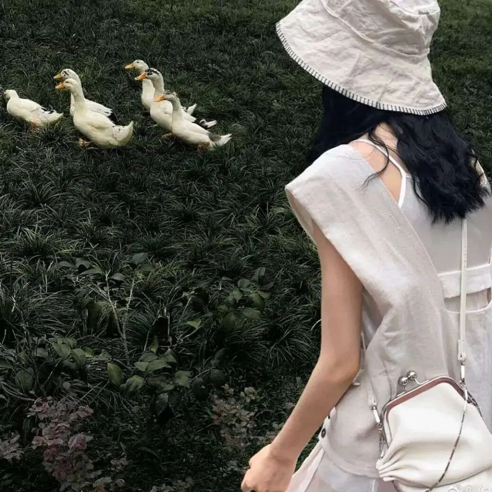 久别的孤岛