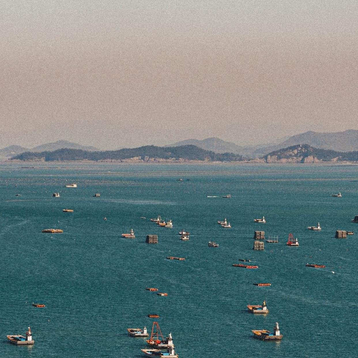 奶茶拌饭的专辑