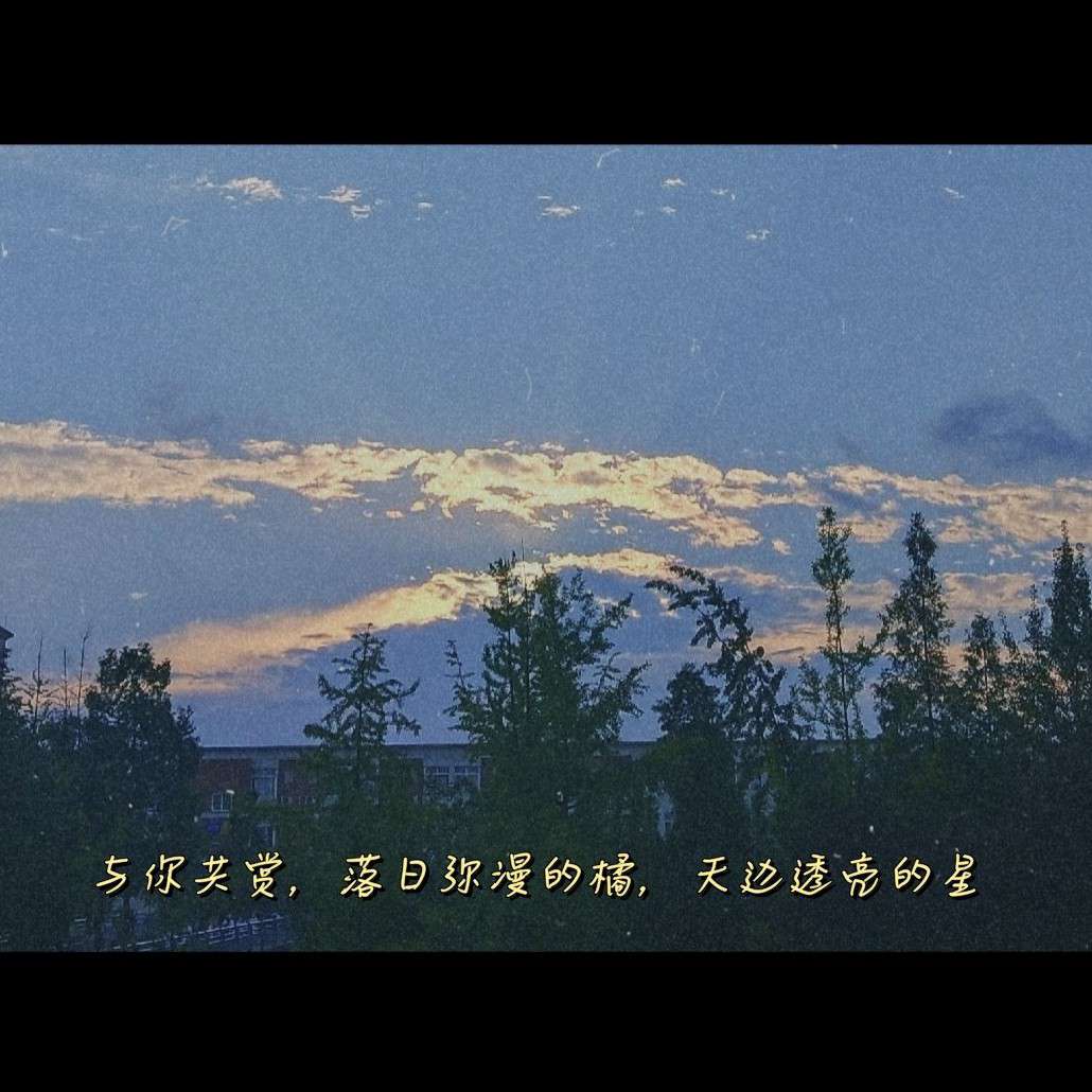 关于那些年看过的英文电影