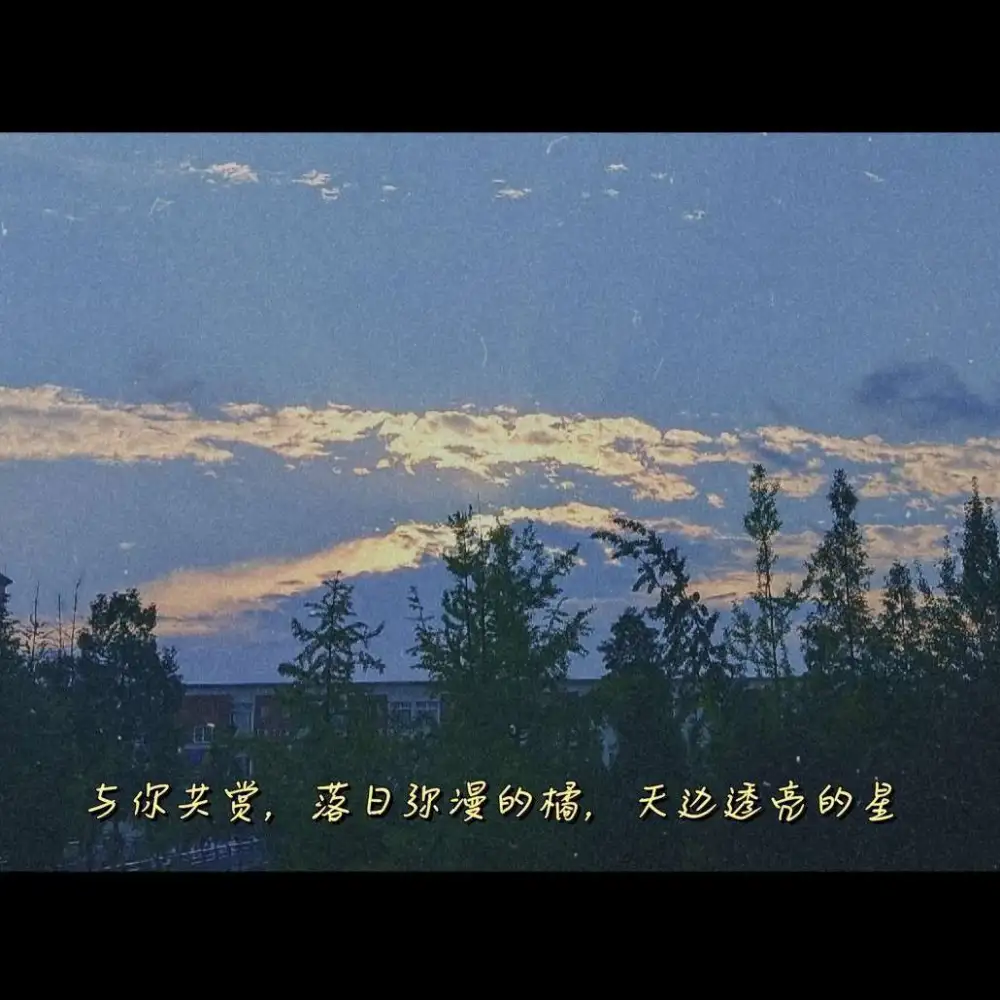 关于那些年看过的英文电影