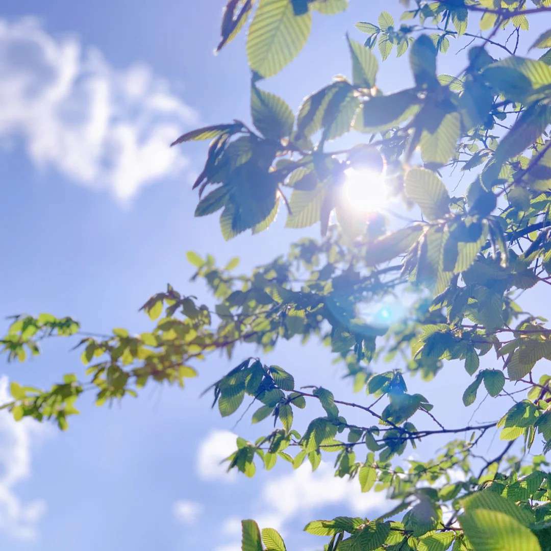 你一定能考上的!