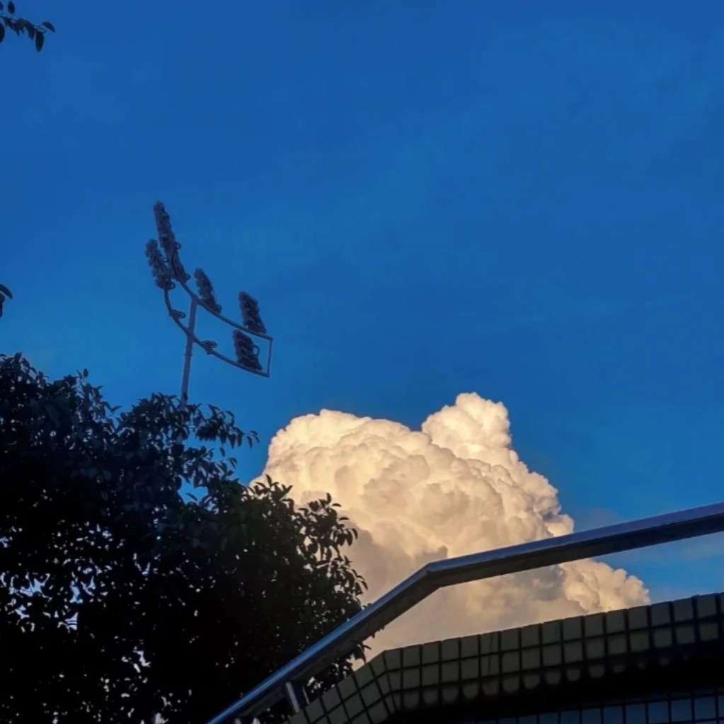 简单高级的个签文案