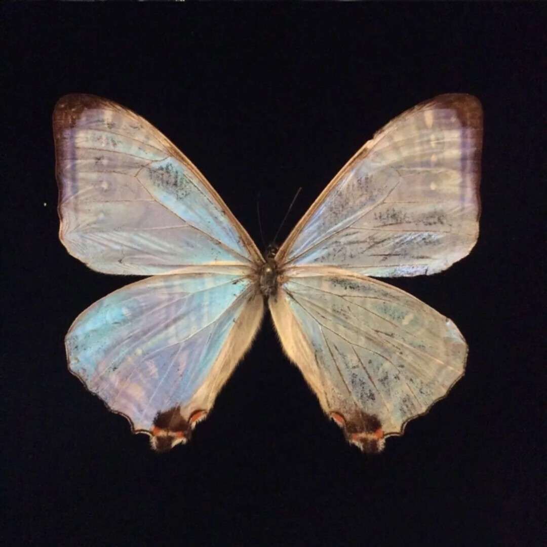 可以收藏的高质量句子