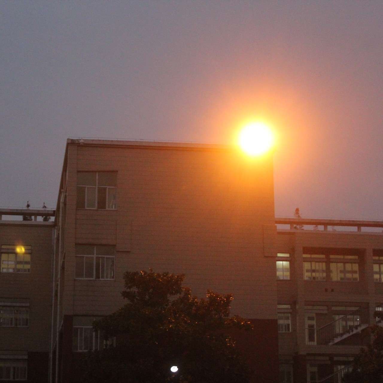 高考备考/励志小句子