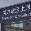 我们一起上岸