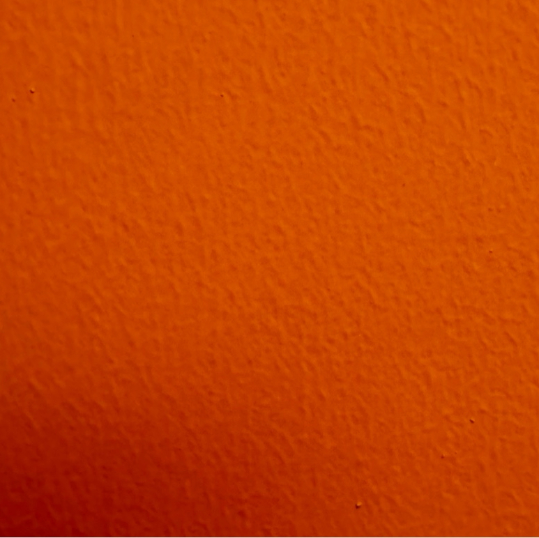 关于宠物的文案