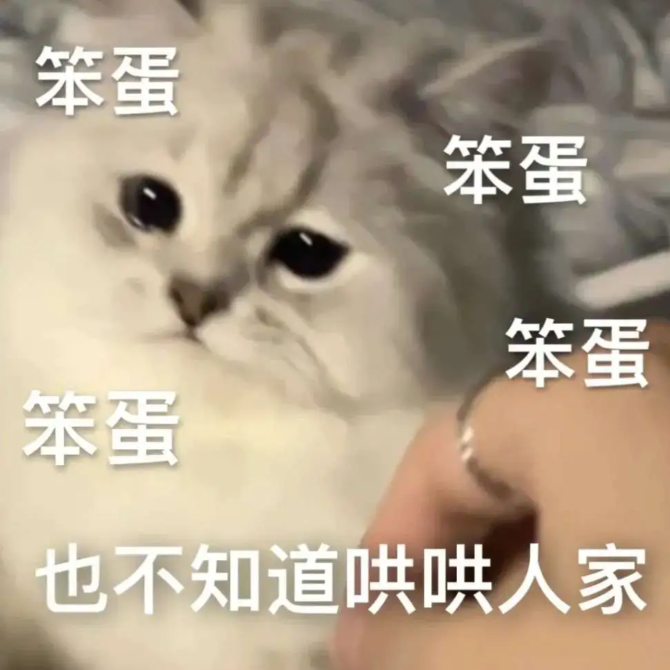 考研学习能量补充