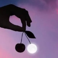 用一句话讲述恋爱滋味