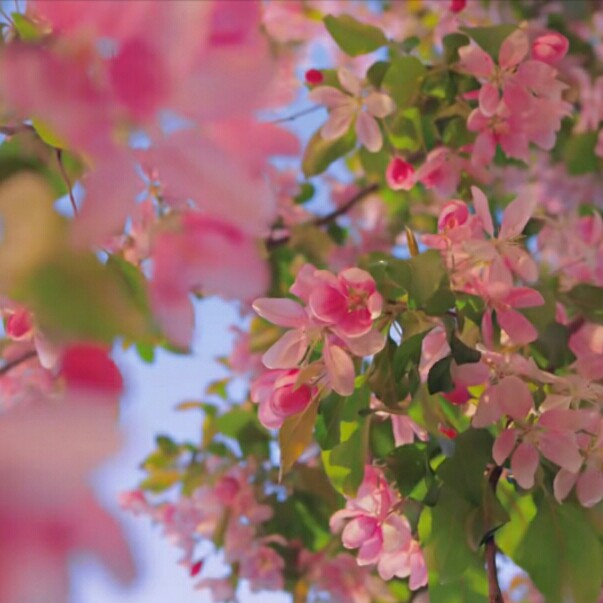 小刘的作文素材库