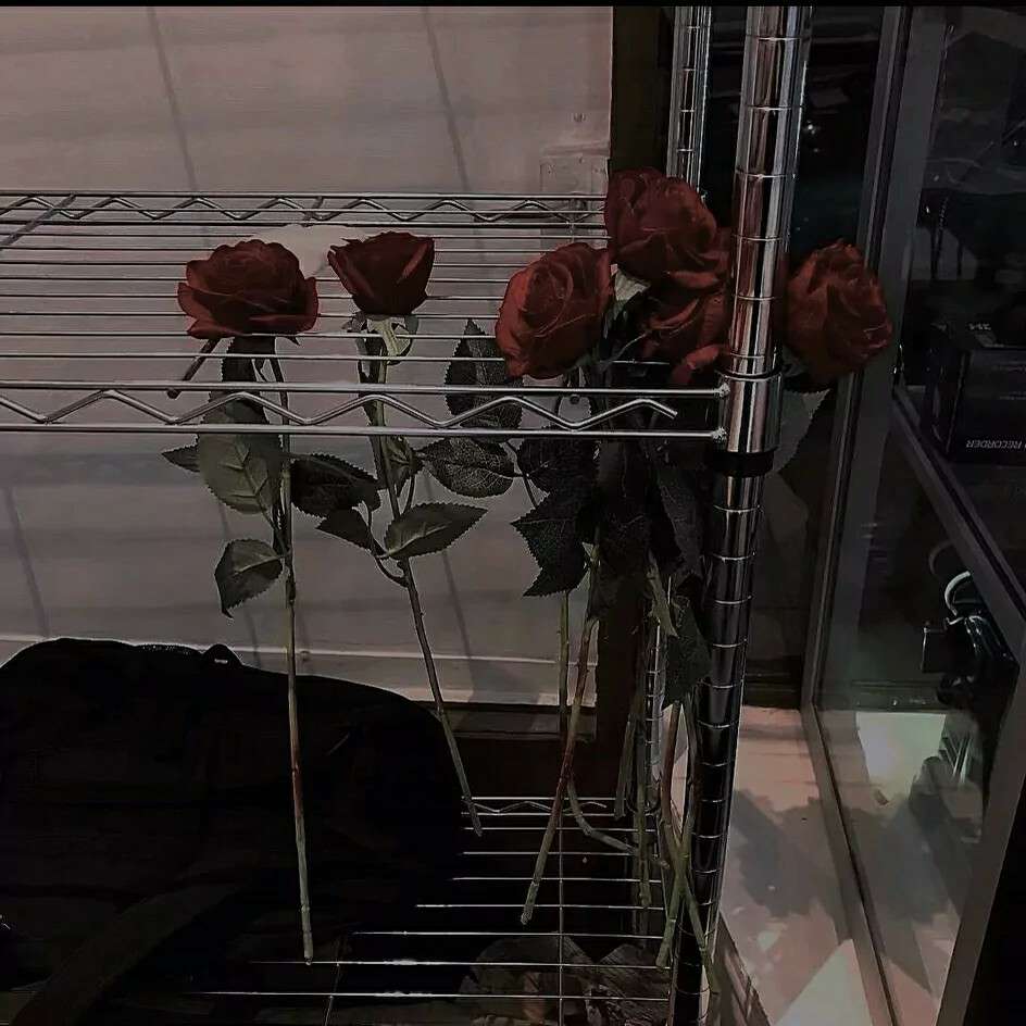 小七叔叔的专辑