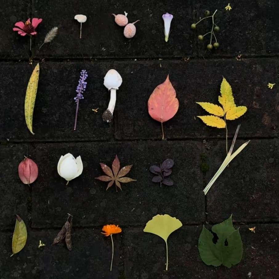 我们毕竟身处红尘