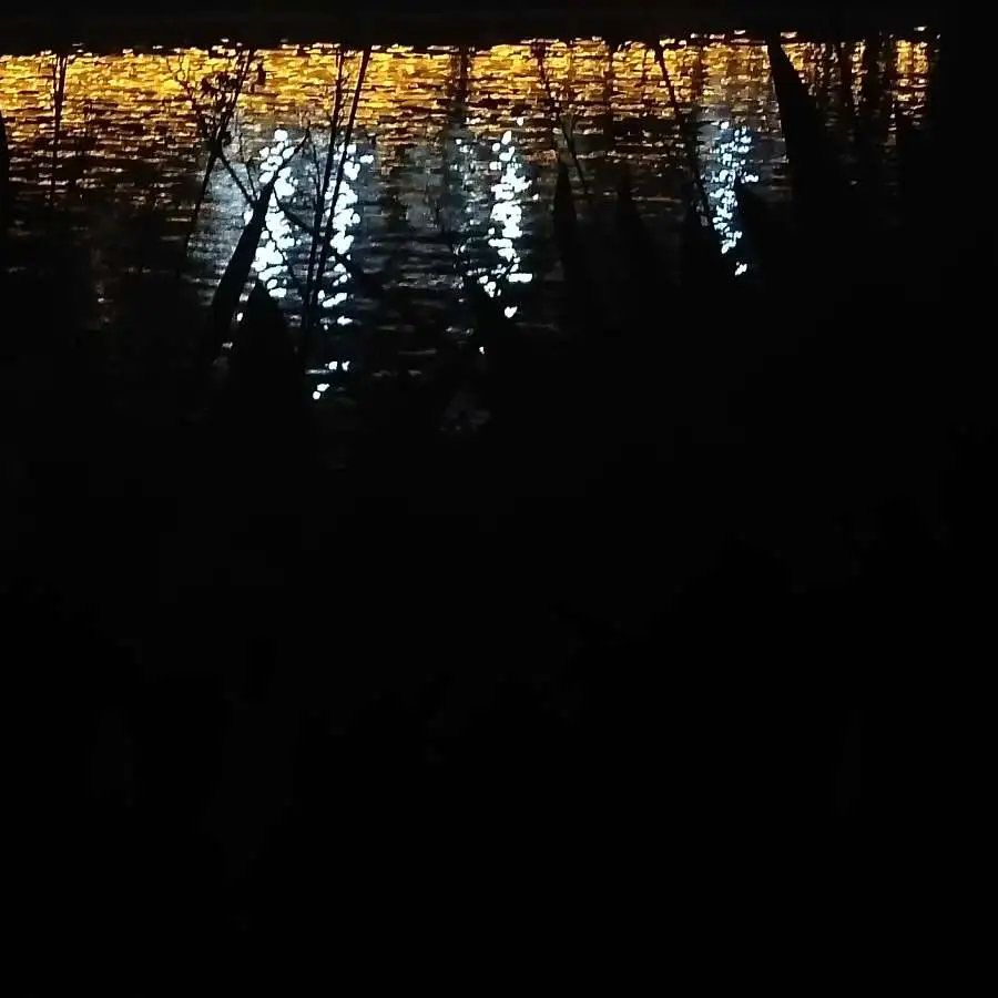 这次是真的要说再见了