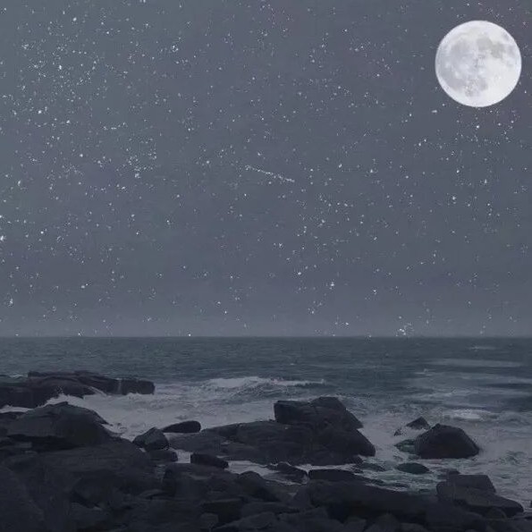 温柔本身就是月亮