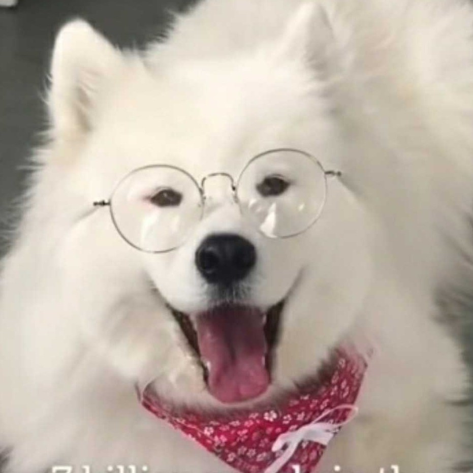 南城北巷成长日记