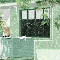 你的晚安，温暖了我的夏天