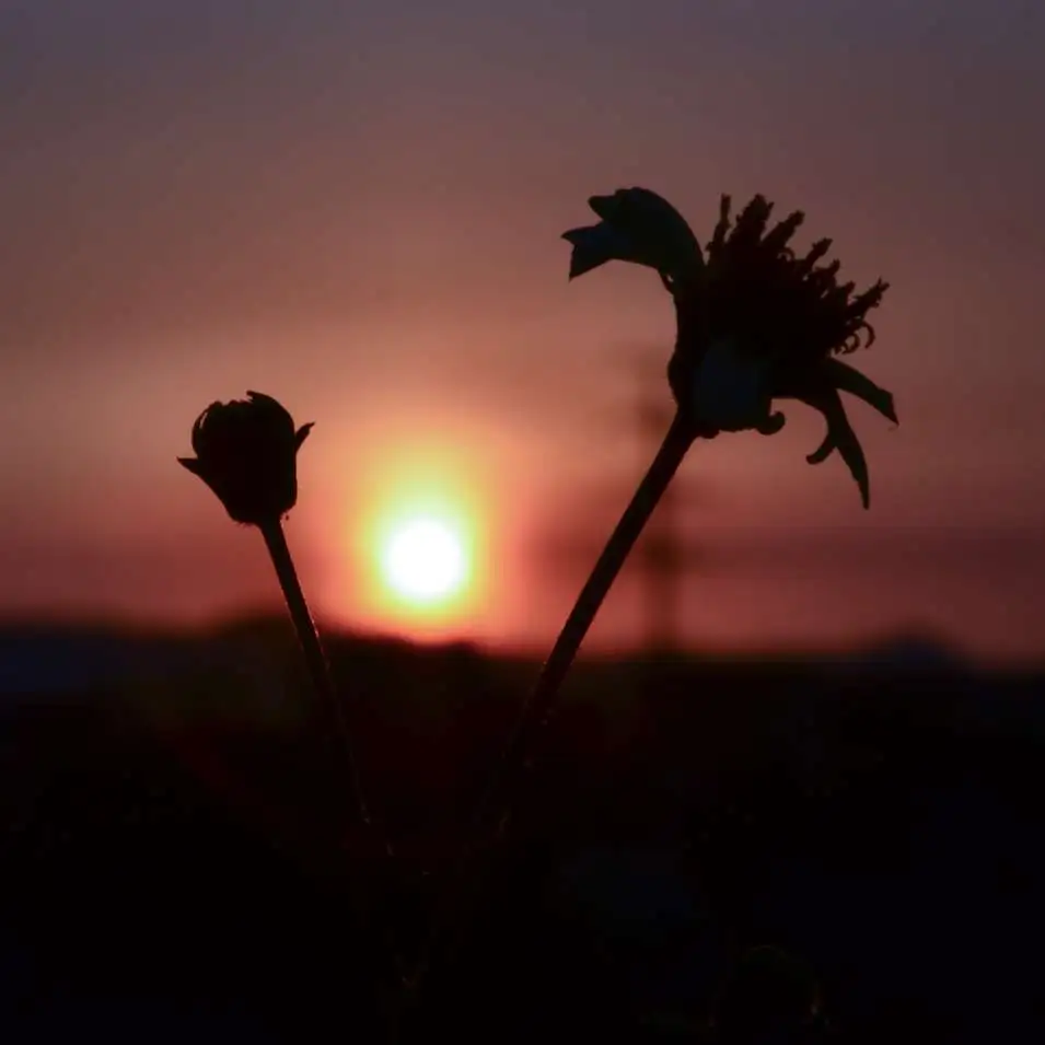 鱼水石头的专辑