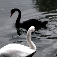 “哪句话第一次读 就被惊艳到很久”