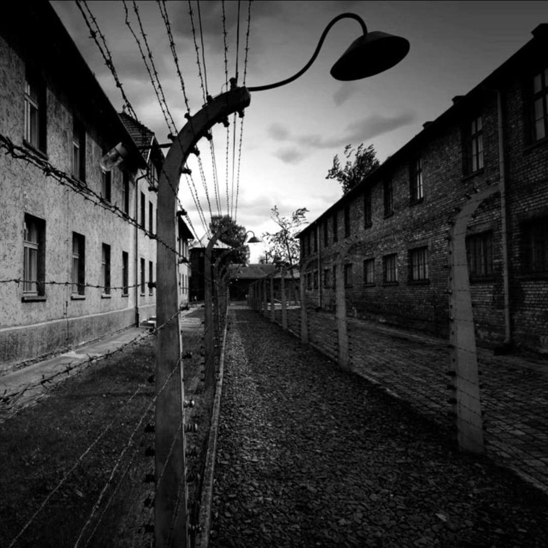 没有目的的旅程的专辑