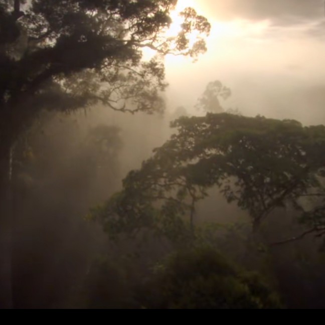伤感的句子收集