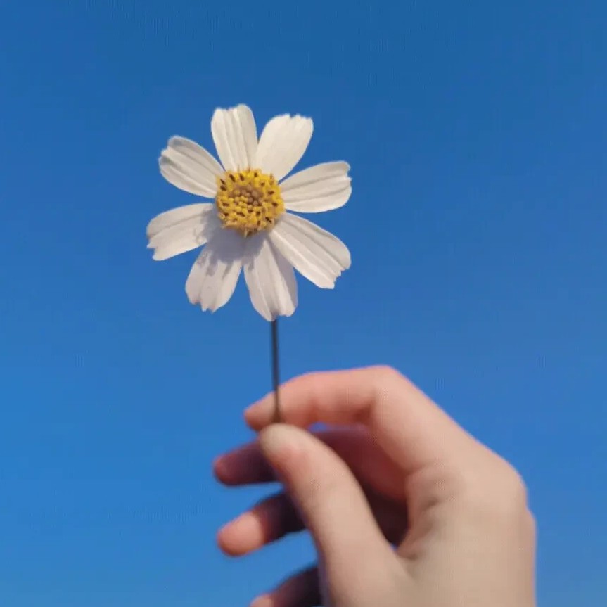 我的专辑daydream