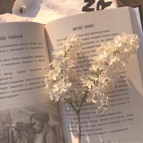 名著里的绝美文案