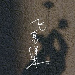 飞鸟集精选语录