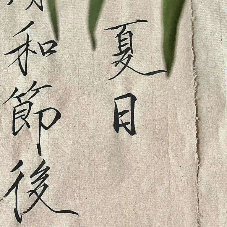 以你为名的夏天