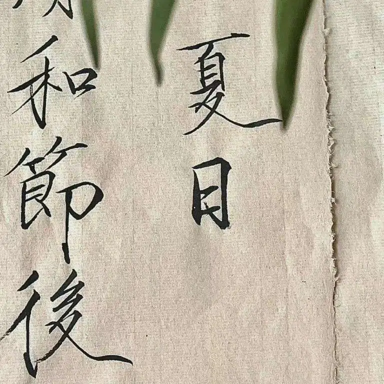 以你为名的夏天